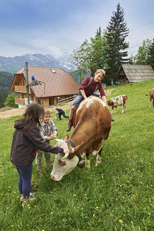 Holiday Chalet "Alpine Dreams" With Private Wellness Solčava Habitación foto