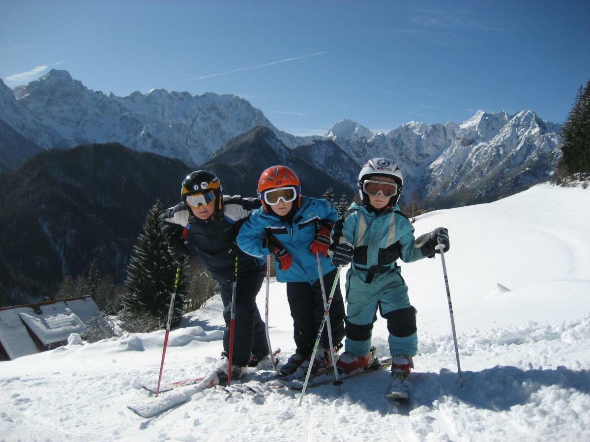 Holiday Chalet "Alpine Dreams" With Private Wellness Solčava Exterior foto